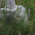 South East Section_20100728_0122.JPG