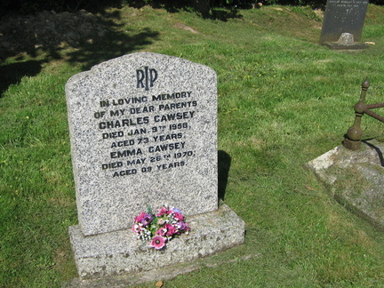 NW Section Gravestones_20100525_2155