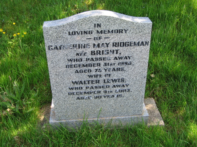 NE Section Gravestones_20100525_2222.JPG