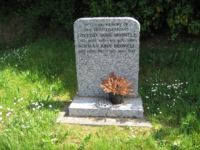 NE Section Gravestones_20100525_2238.JPG